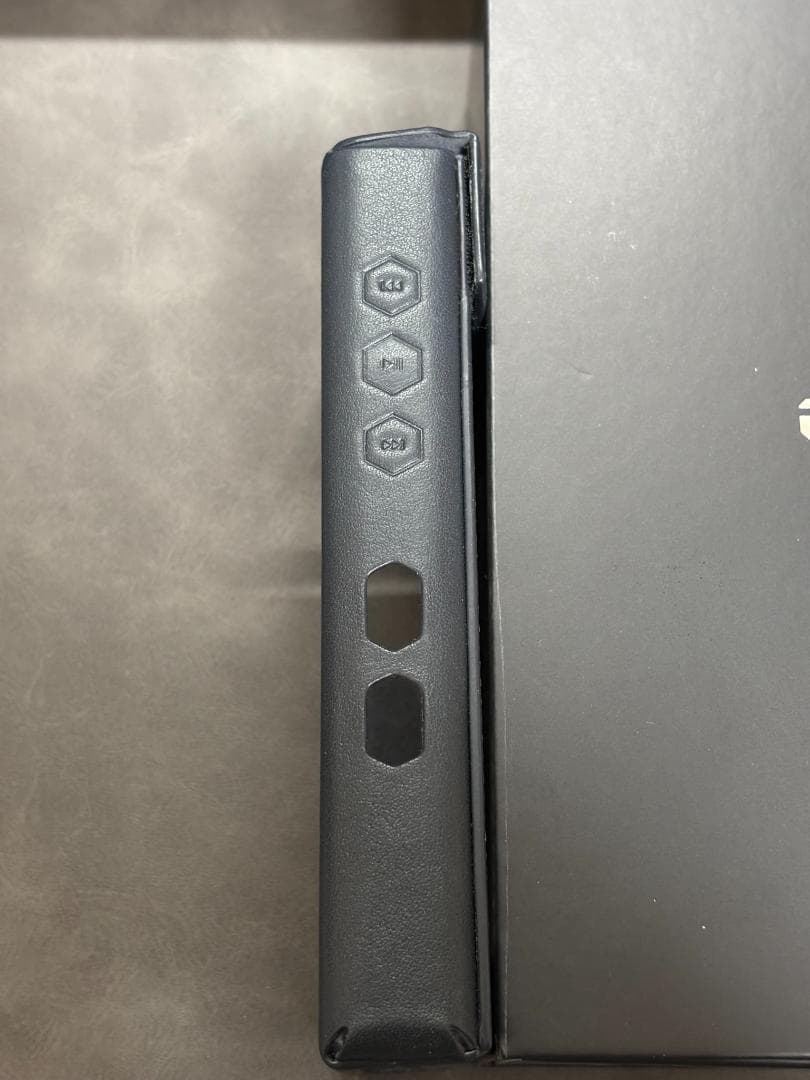 【1/4まで期間限定値下げ】FIIO M23 Stainless Steel