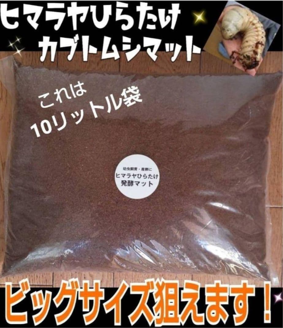 カブトムシ幼虫が大きくなります！発酵マット【たっぷり50リットル】雑虫わきません