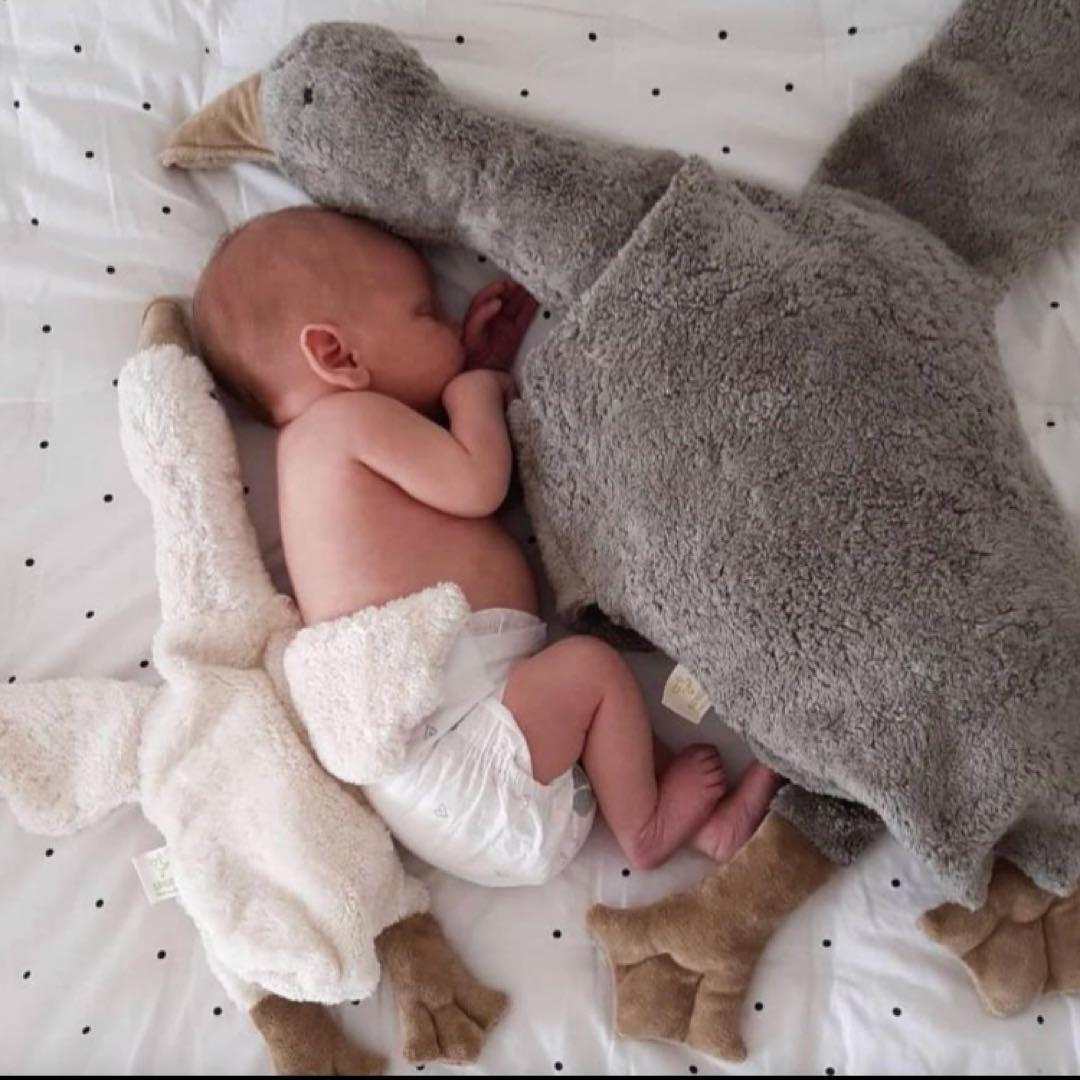 SENGER Lサイズ　グース　グレー　ゼンガー