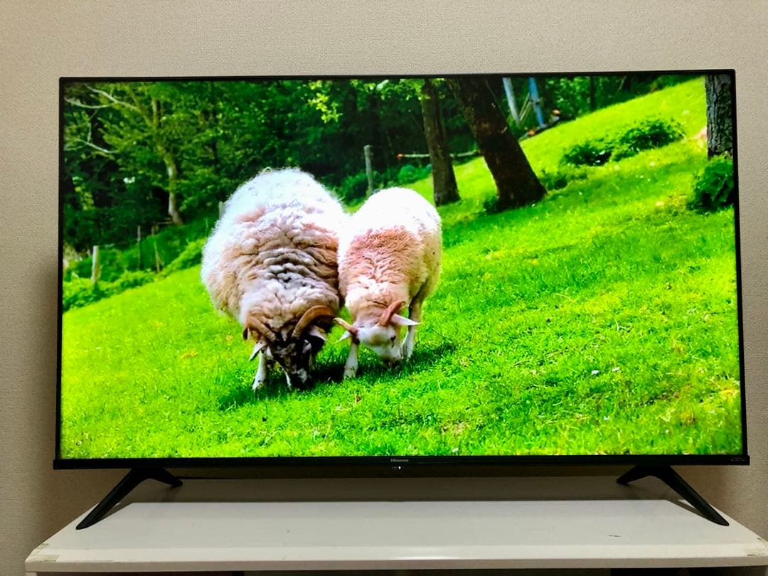 ハイセンス 50V型 液晶テレビ 4Kチューナー内蔵 50E6G 動画アプリ搭載