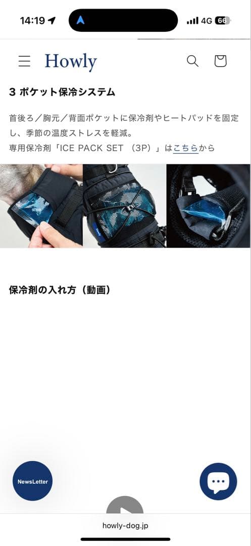 【Mサイズ黒】 試着のみHowly FRAME-X ADV HARNESS