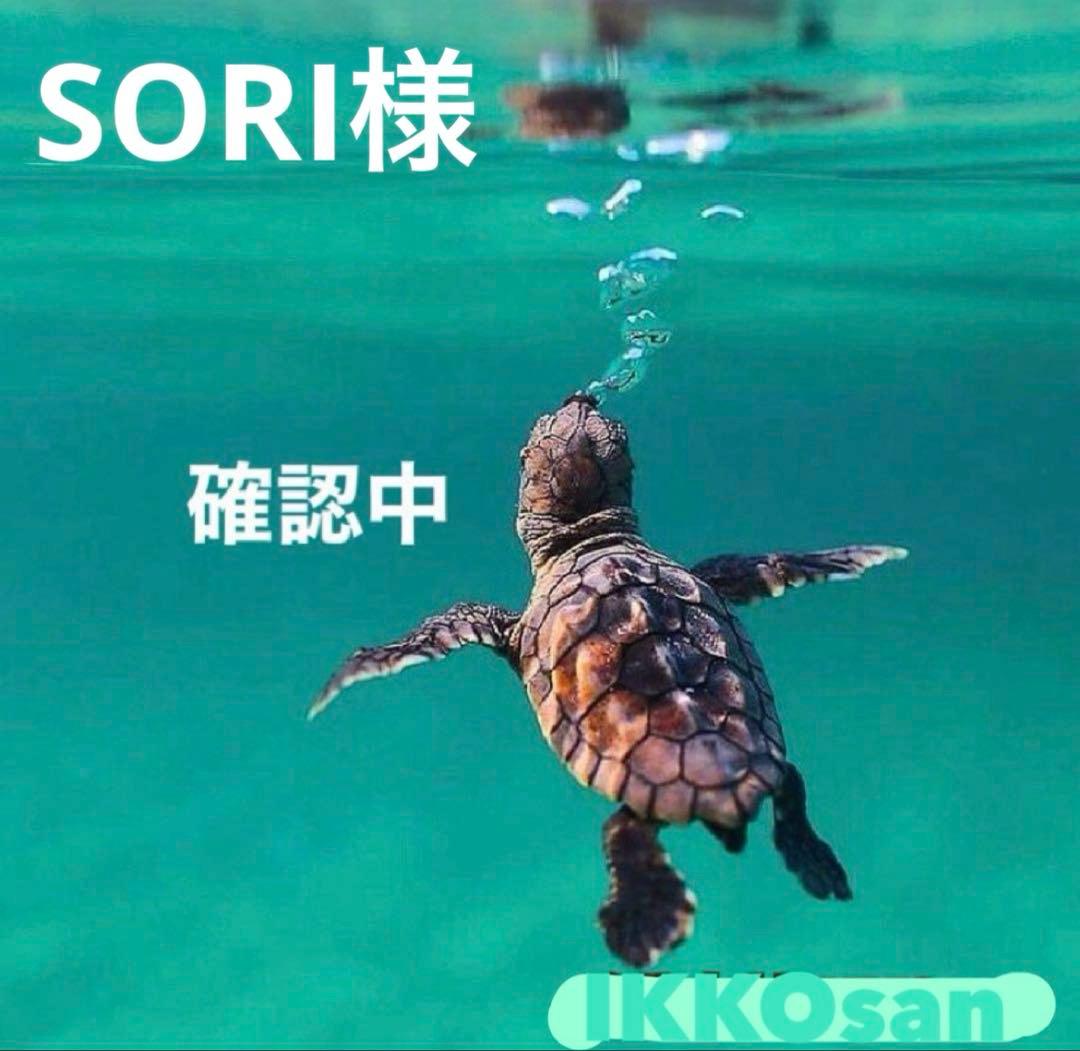 SORI様 リクエスト 3点 まとめ商品