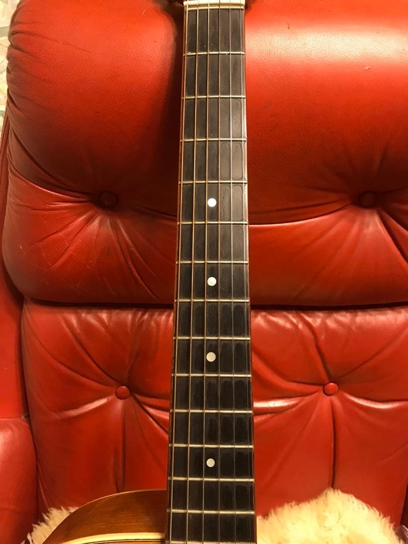 black bear 12弦アコースティック・ギター