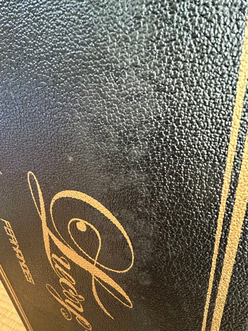 FERNANDES Lucy KANOKE 棺桶 BUCK-TICK 今井寿