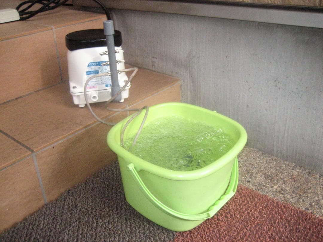 【フジクリーン（CFB-70）70L】082 　エアポンプ　ブロワー　浄化槽