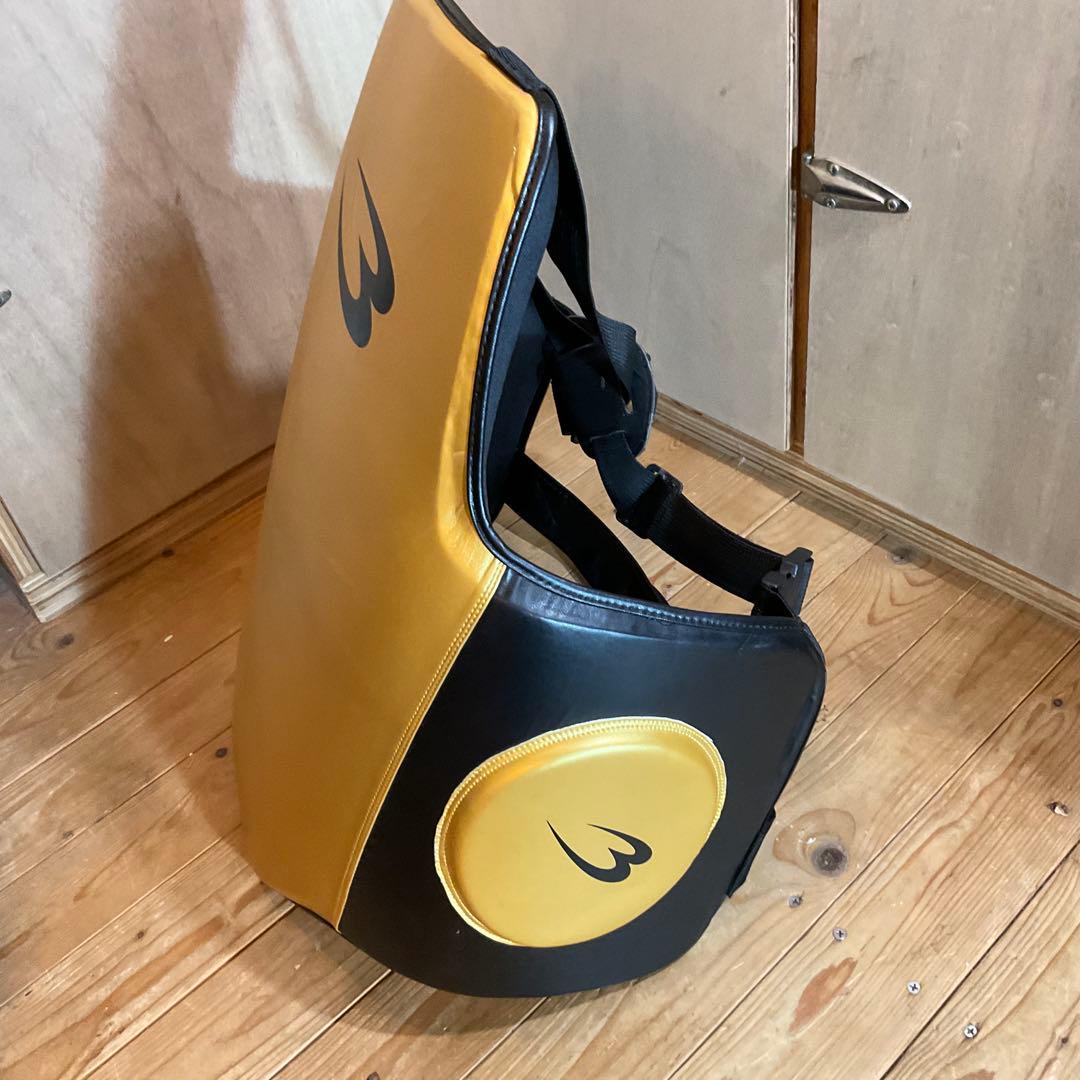 極美品！ボディメーカー プロテクター LIMITED MODEL フリーボディ