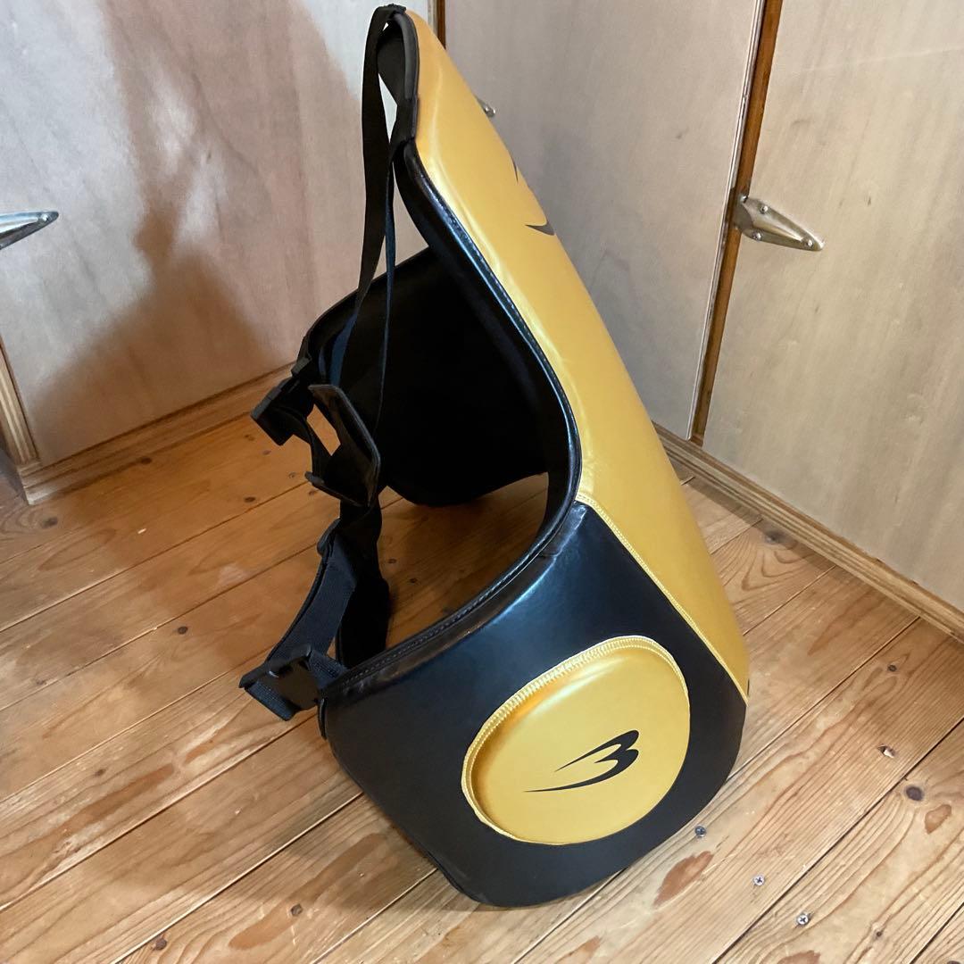 極美品！ボディメーカー プロテクター LIMITED MODEL フリーボディ