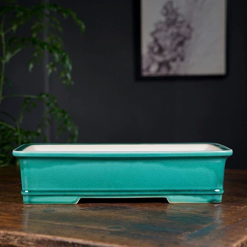 長方形植木鉢 盆栽鉢 青磁鉢 山野草鉢 多肉植物 小品大品盆栽鉢 陶器鉢置物