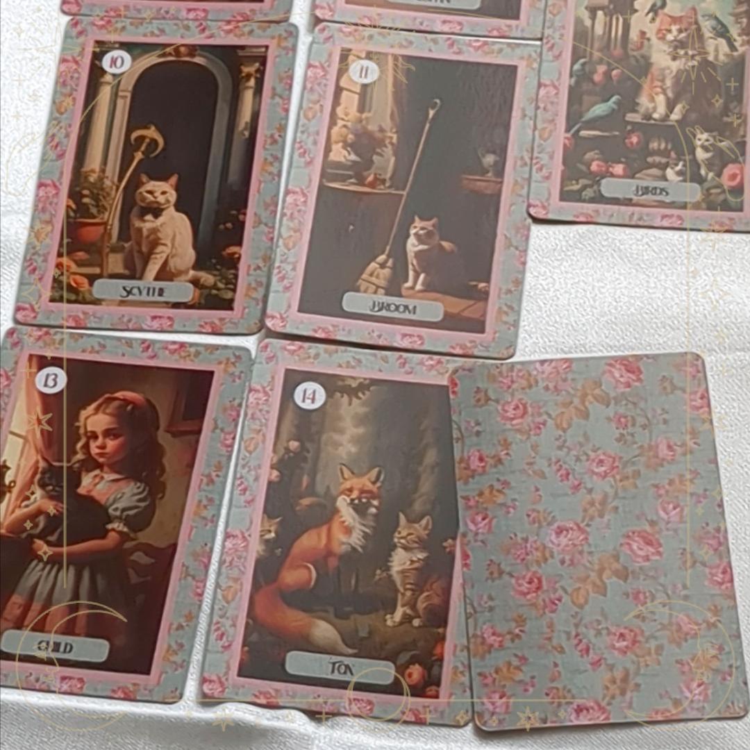 入荷1点のみ✨スペイン作家のキュートデッキ✨柔らか猫ちゃんのルノルマンカード