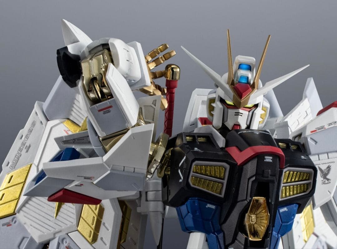 超合金 マイティーストライクフリーダムガンダム