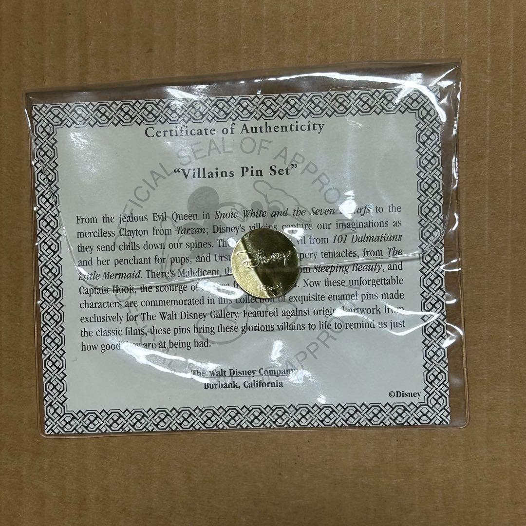 ディズニー　ヴィランズ　世界1000枚限定　ピンバッジ　額装ピンセット