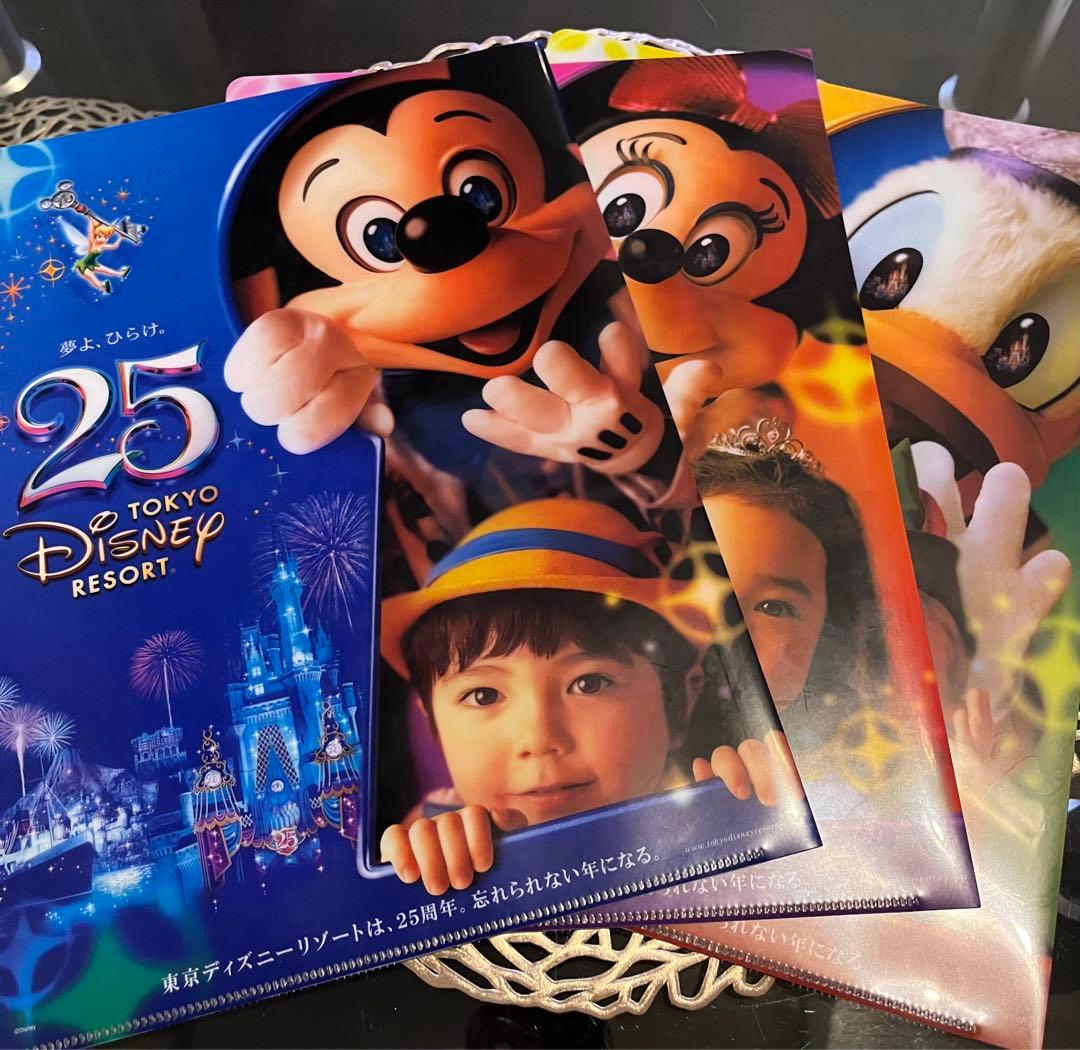 ディズニー⭐︎25周年限定⭐︎クリアファイル