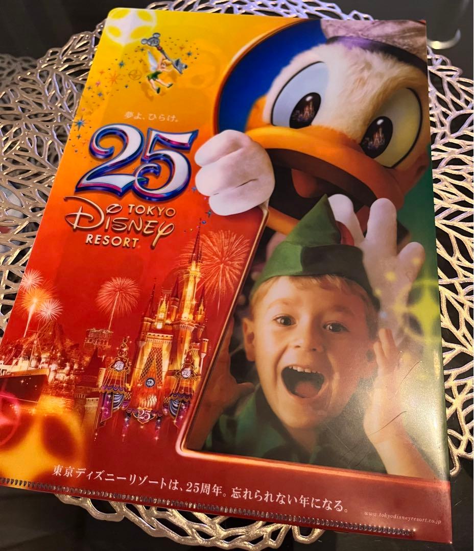 ディズニー⭐︎25周年限定⭐︎クリアファイル