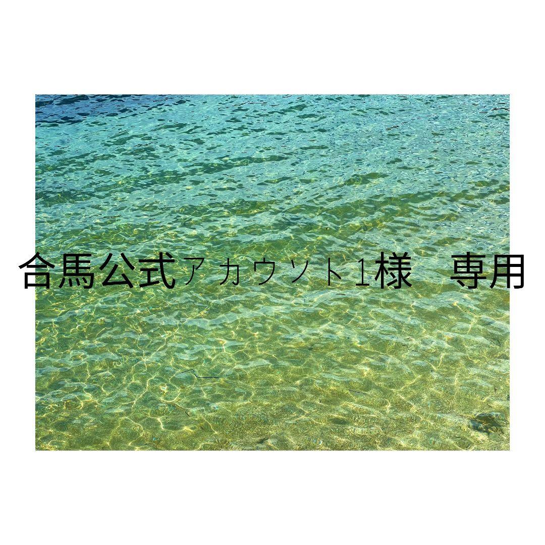 Nintendo Switch あつまれどうぶつの森エディション 本体