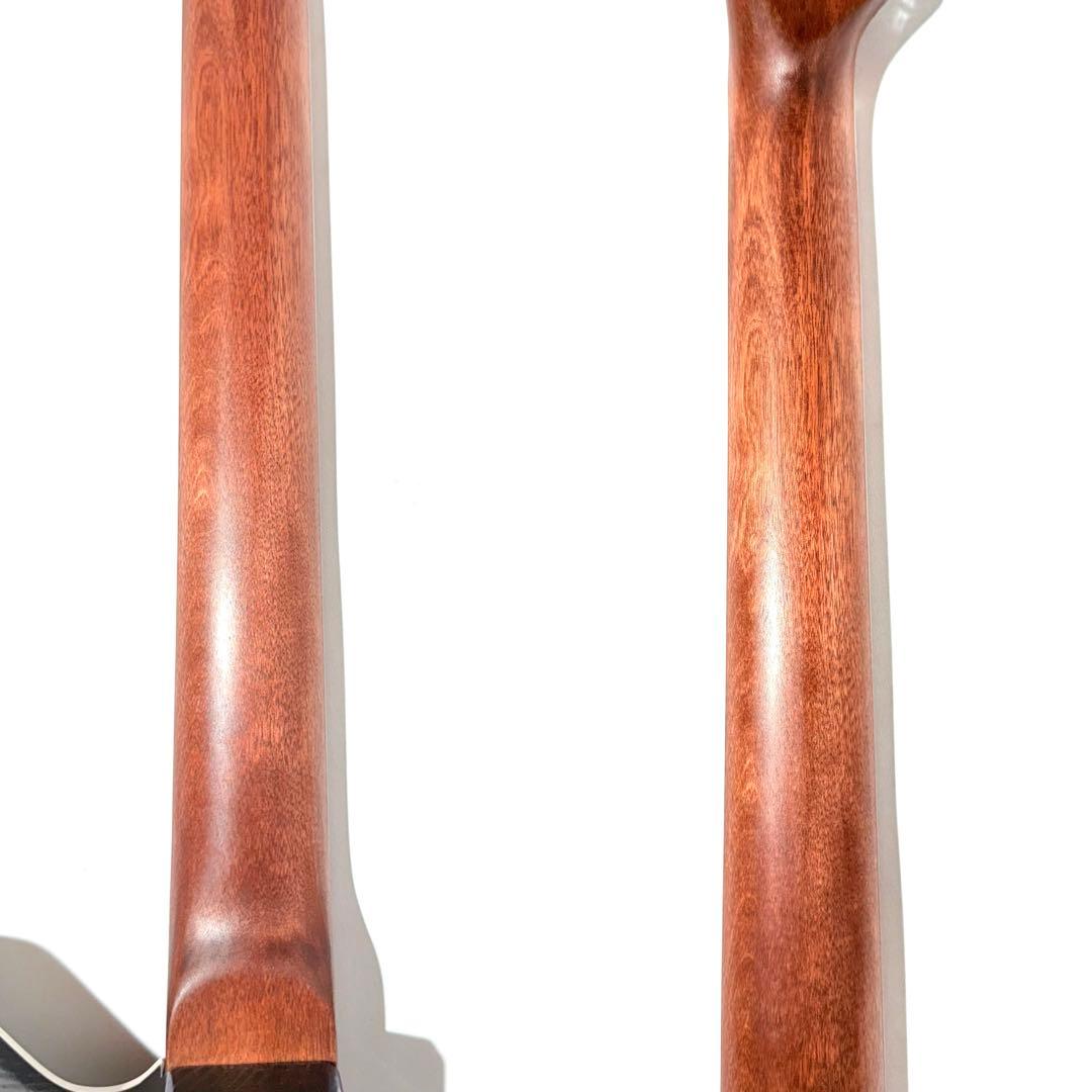 【希少】Custom Telemaster Reverse テレマスターリバース