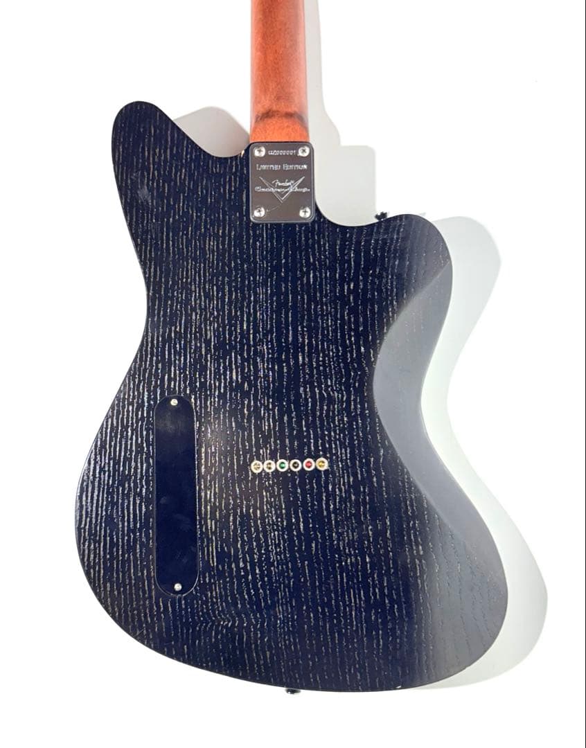 【希少】Custom Telemaster Reverse テレマスターリバース