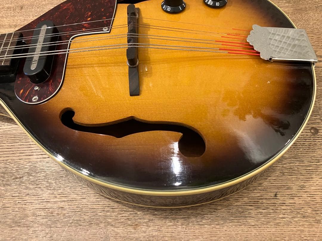 aria エレキマンドリン (Ritter ケース付き)