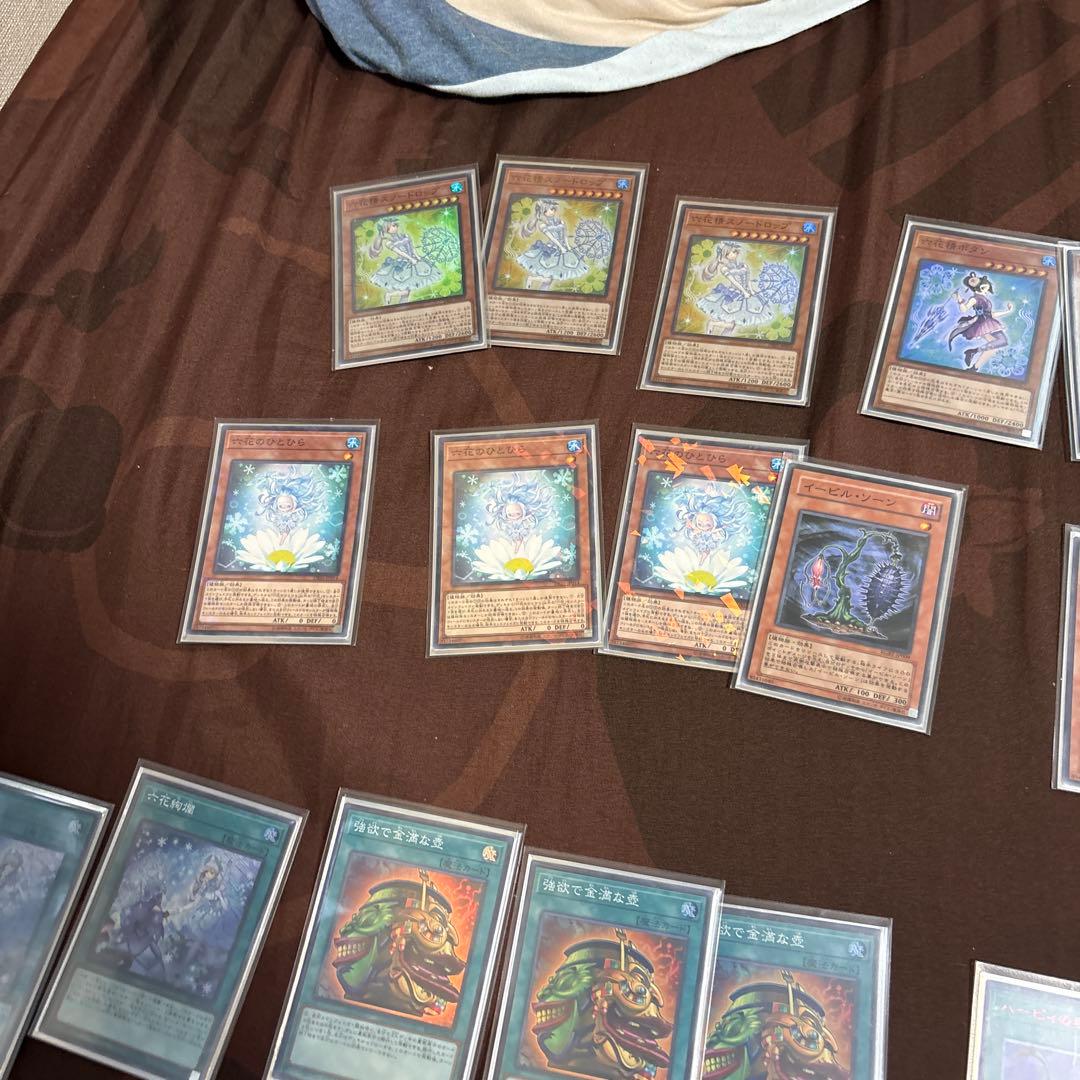 遊戯王　六花聖デッキとスリーブセット