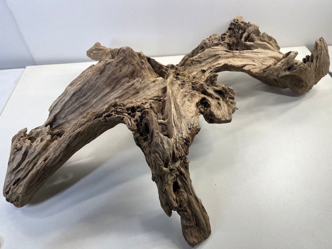 m77大型流木 アク抜き済み 爬虫類シェルター レイアウト用 インテリア 登り木