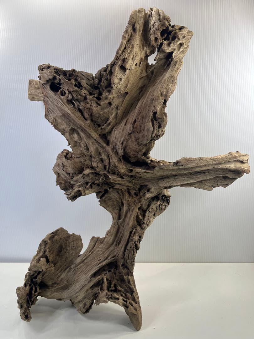 m77大型流木 アク抜き済み 爬虫類シェルター レイアウト用 インテリア 登り木