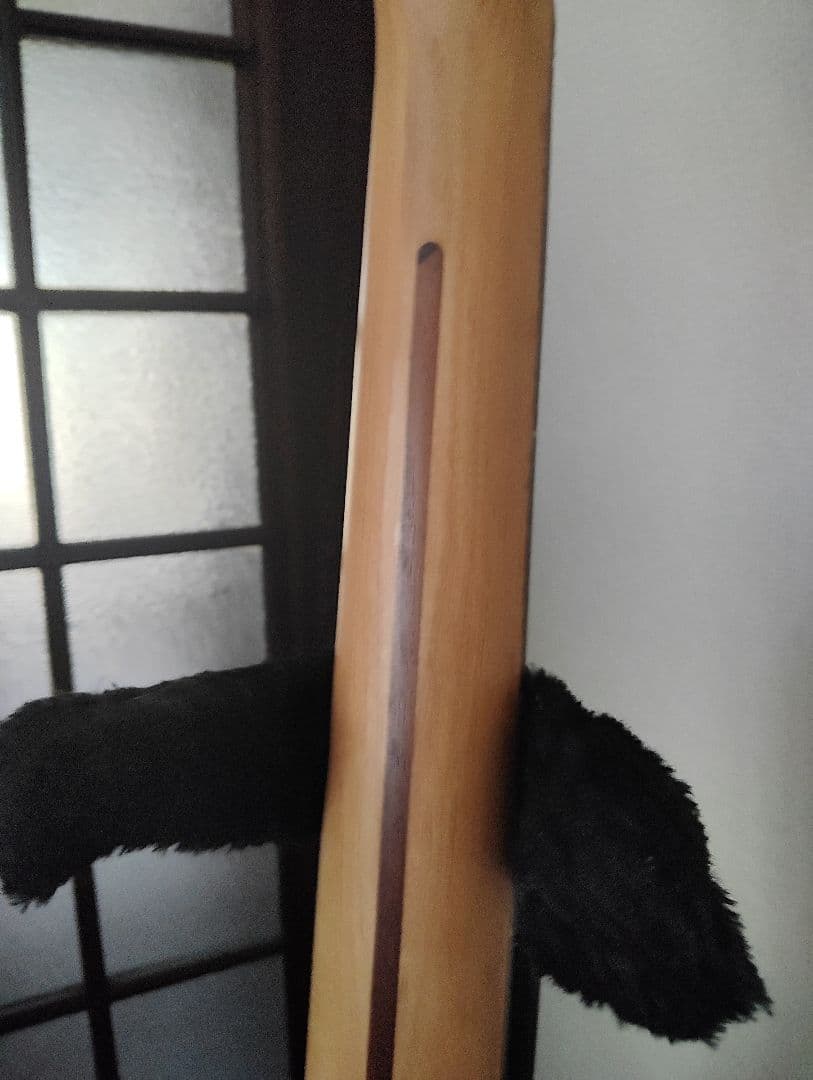 【生産終了】【激レア】Fender Starcaster ストラト　エレキギター