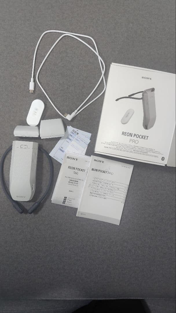 その他 REON POCKET PRO