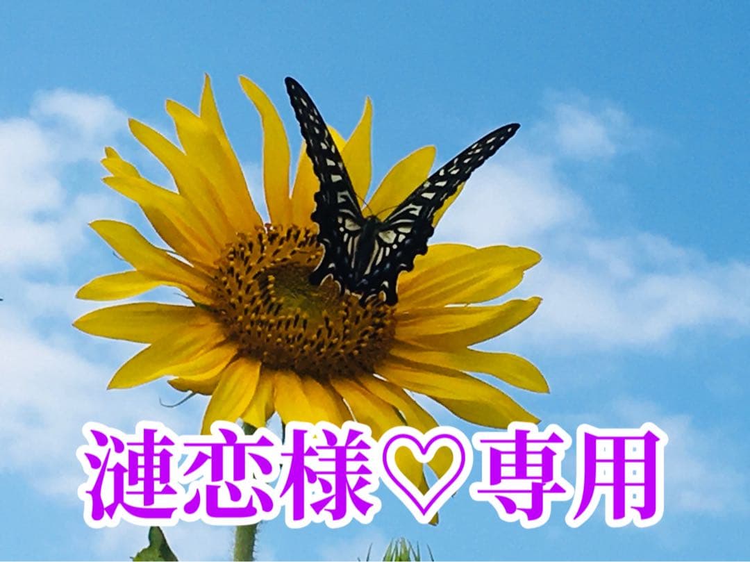 漣恋様❤️おまとめ専用ページです。6/26まで♡