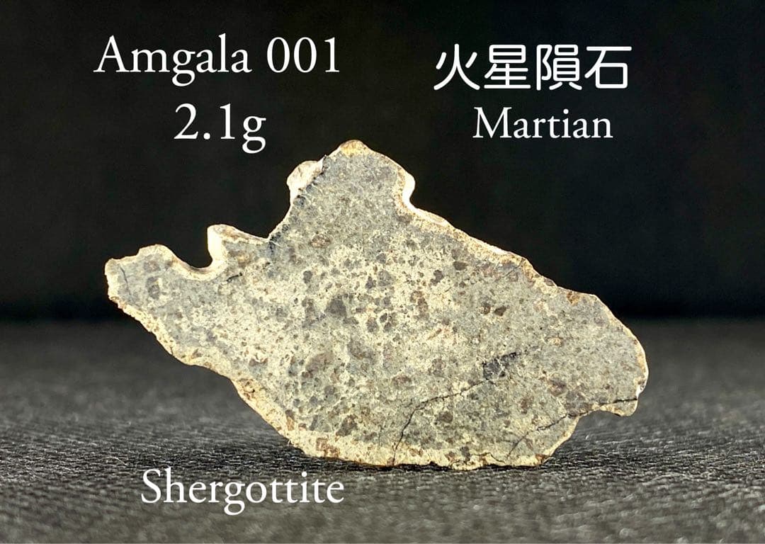 火星隕石 2.1g 希少 Amgala001 Martian メテオライト 隕石