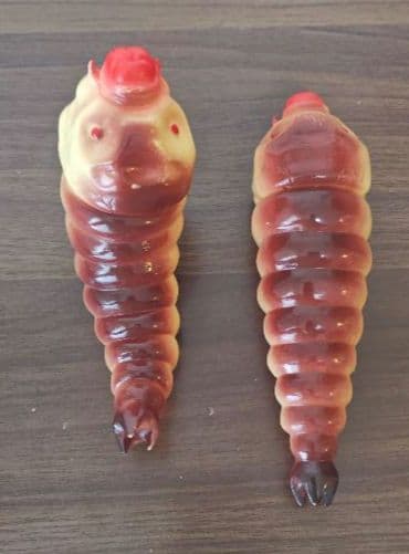 マルサン 電撃怪獣大作戦 モスラ幼虫