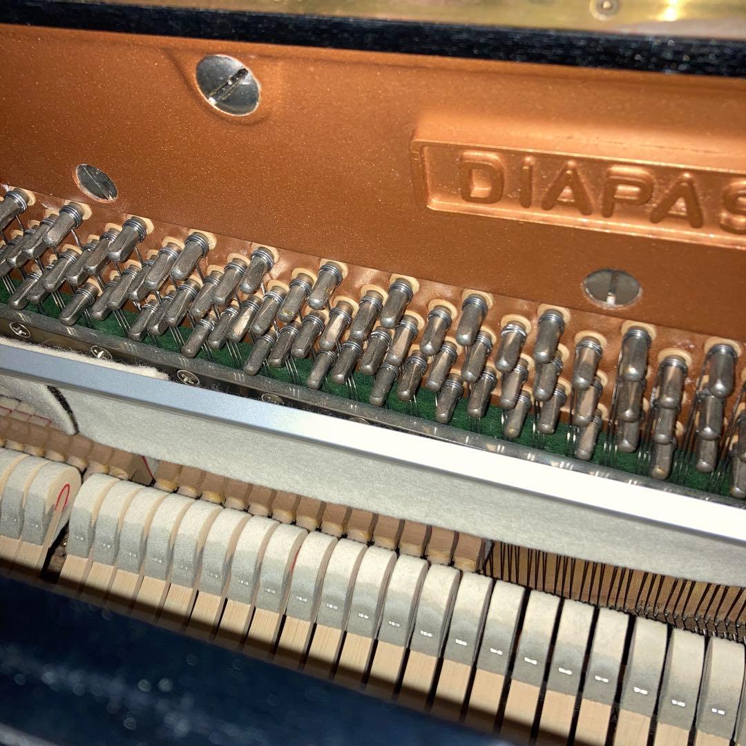 ディアパソン132CE