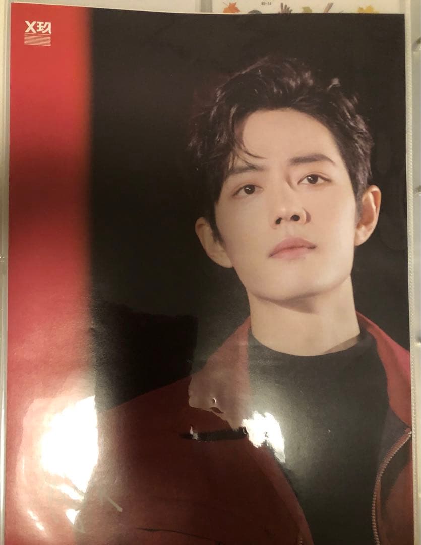 王一博 カードバインダー＋A4・Pカード他 用リフィル50枚付 アルバム z