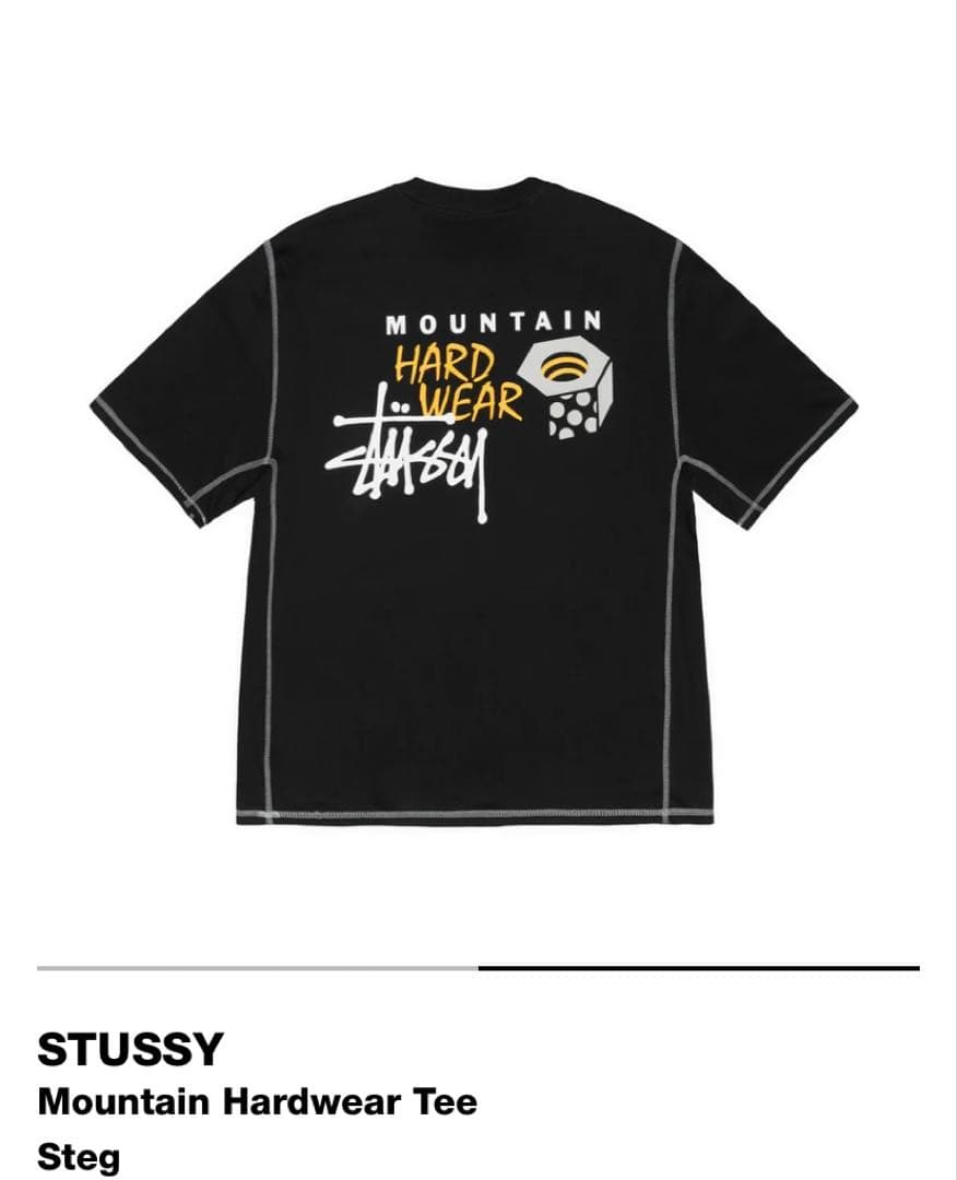 Stussy x Mountain Hardwear Mサイズ