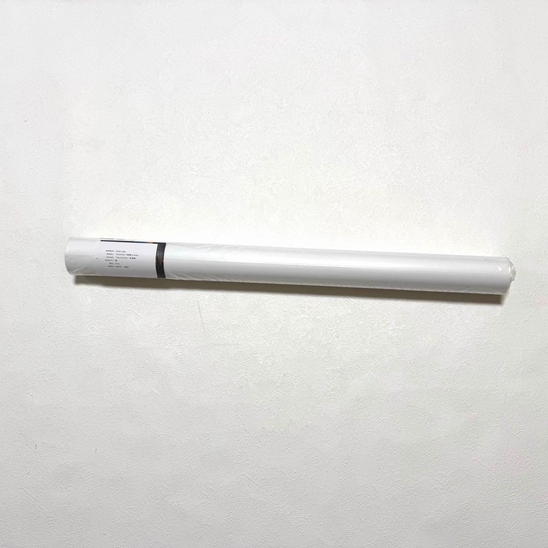 APPLEBUM Snoop Dogg 浮世絵ポスター A1 新品未使用