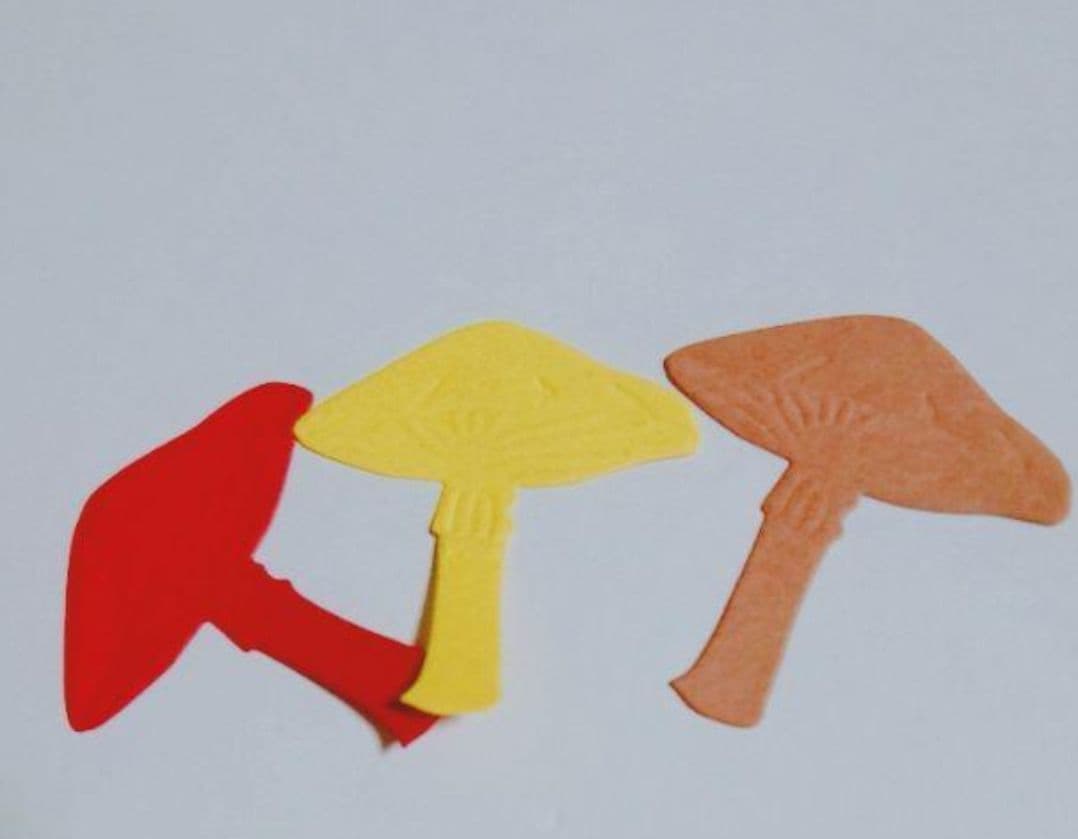 クラフトパンチ キノコオーダー受付中(*´∇｀)！！