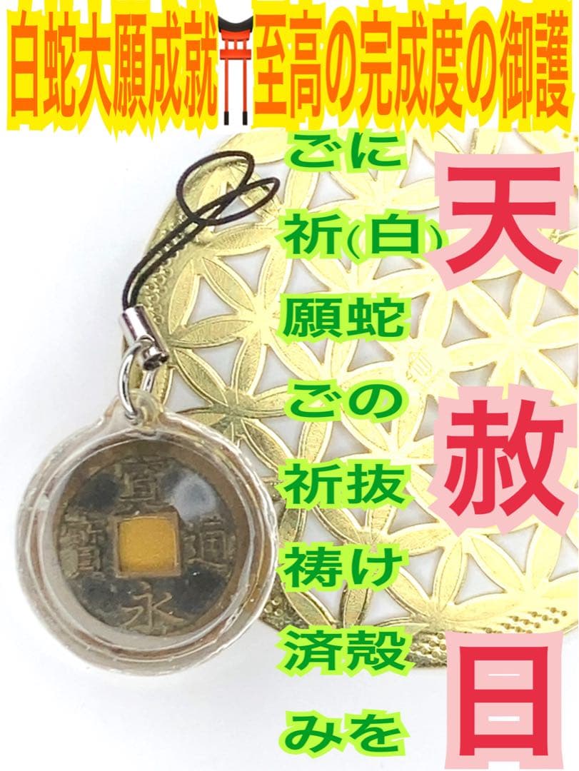 寛永通宝 ✨古銭✨種銭✨福銭✨蛇の抜け殻 ✨白蛇のお守り【天赦日ご祈祷済み】AB