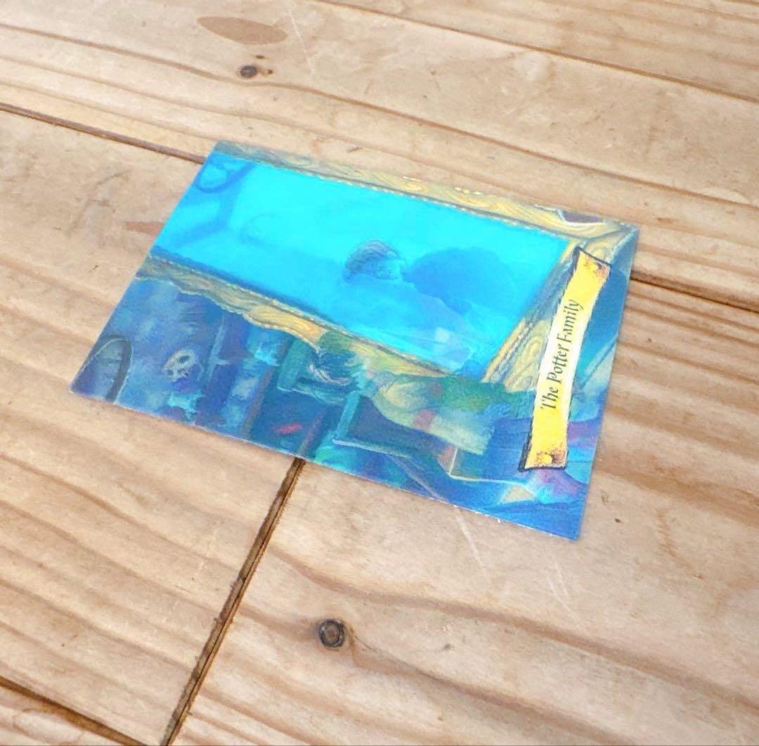 ハリーポッター　カエルチョコ　3DカードThe Potter Family