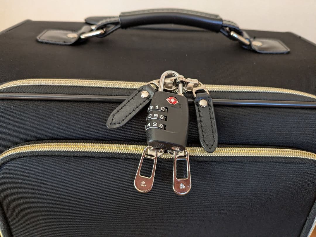 ✩ace✩ソフトキャリーグリッテリー