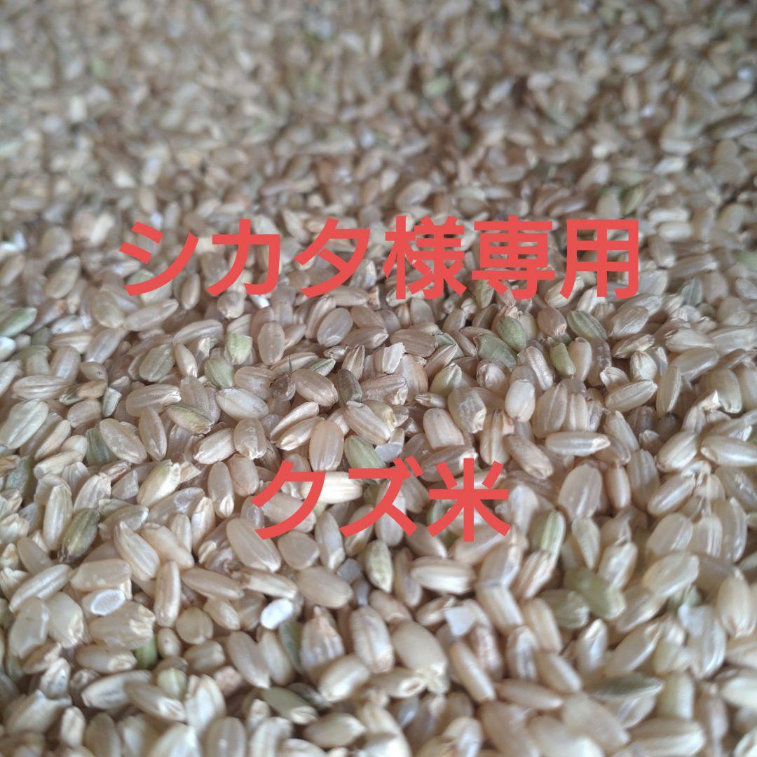 シカタくず米 20kg