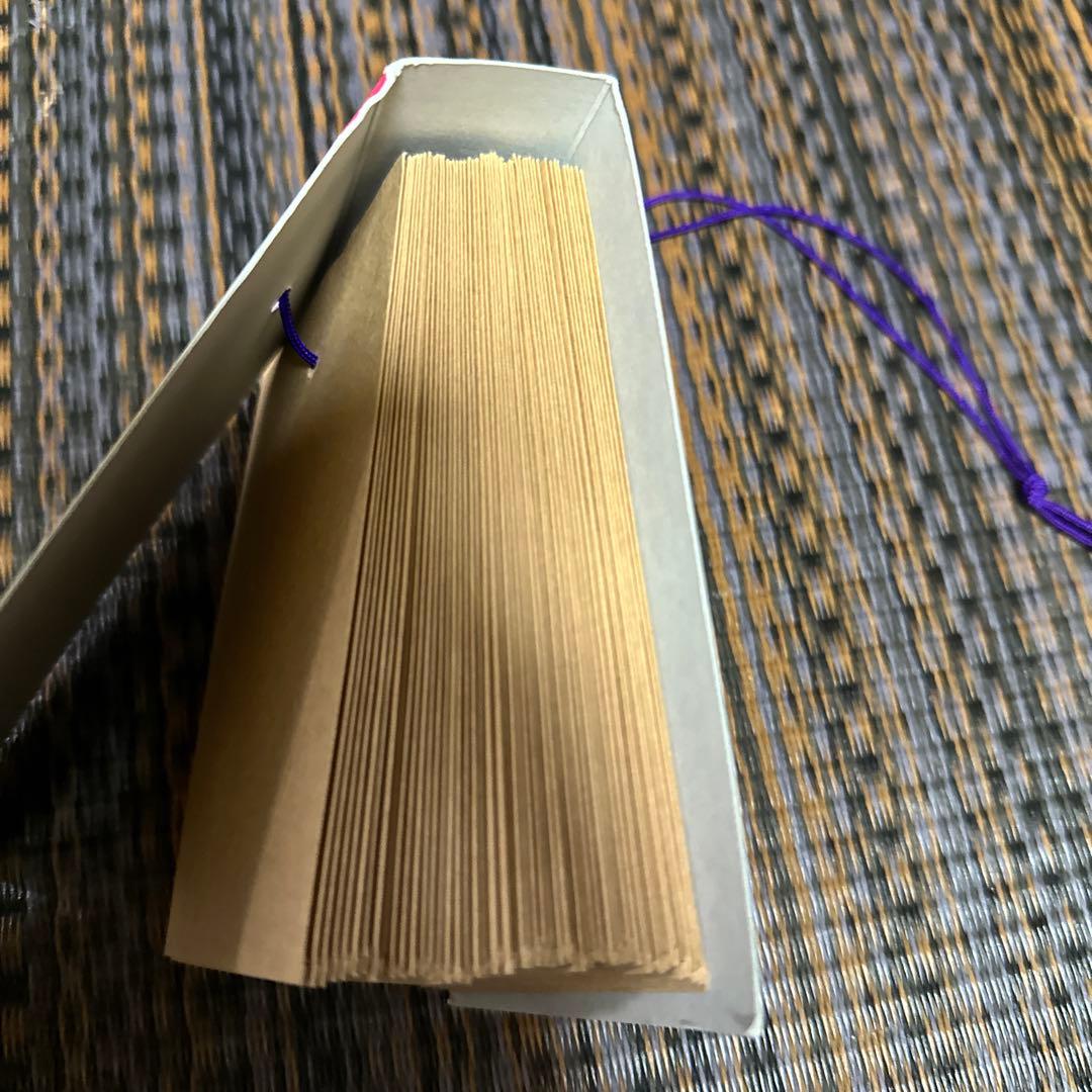 水曜どうでしょう 藤村 忠寿 嬉野 雅道 ブロマイド　風PP カード 忠道プロ