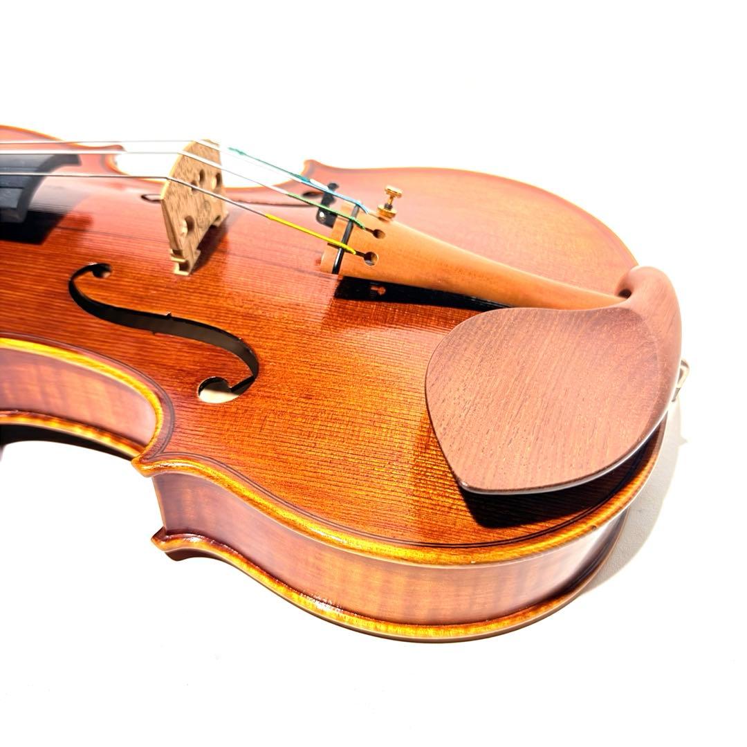 マンモス Pygmalius Derius Giappones 4/4