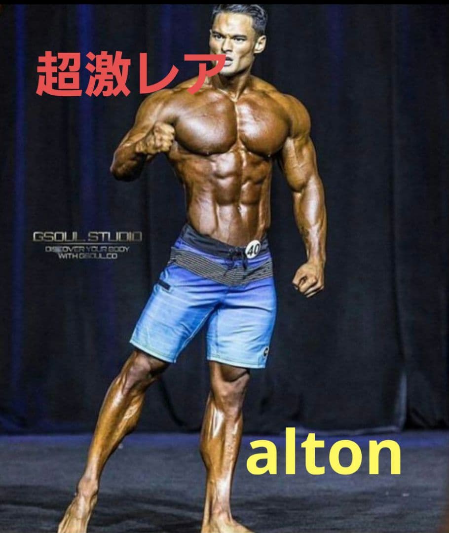 フィジーク　ステージショーツ　サーフパンツ　ボードショーツ　alton 激レア