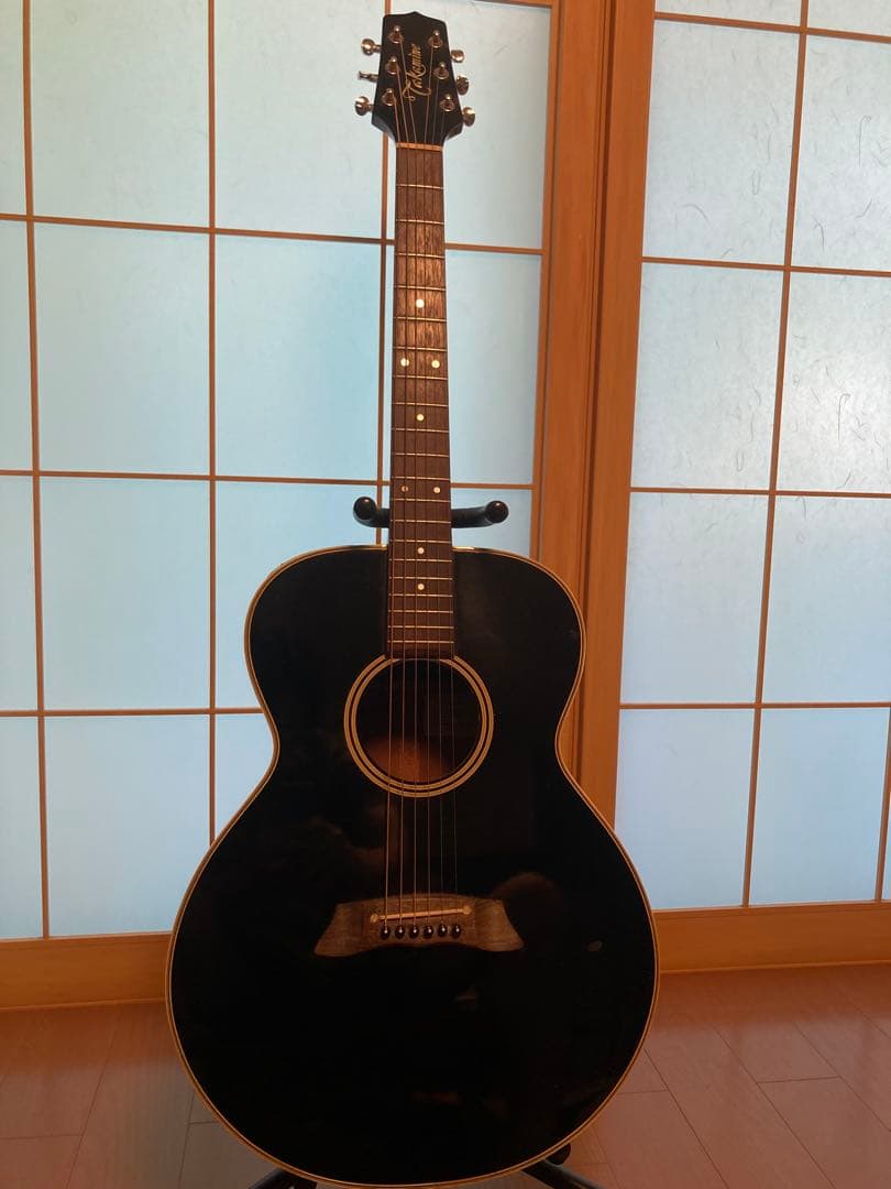 Takamine アコースティックギター pt 105