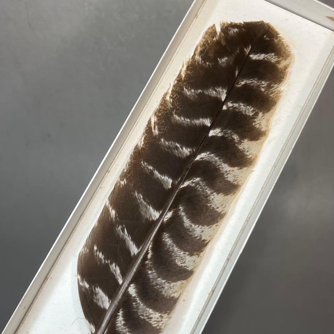 羽箒 箒博作 三ツ羽根 2点まとめて 茶道具