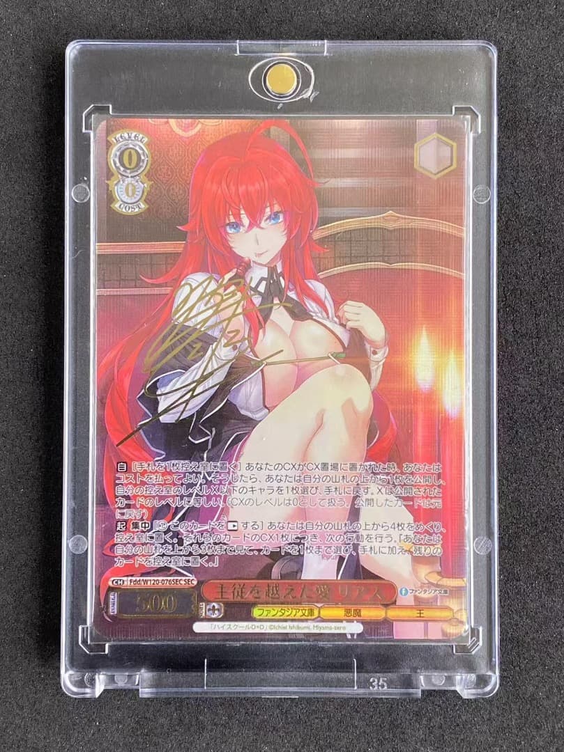 ヴァイス 富士見ファンタジア文庫 SEC 主従を越えた愛 リアス