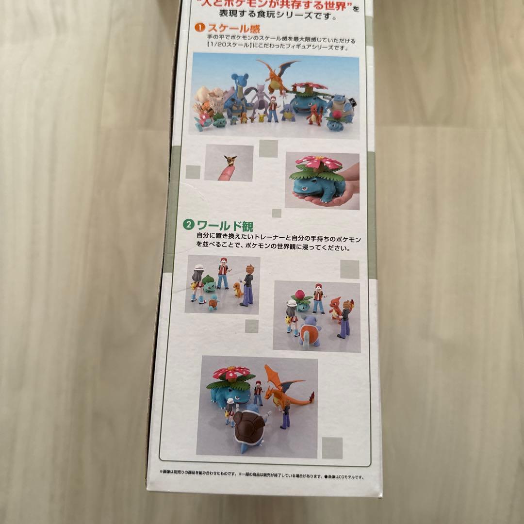 ポケモンスケールワールド タケシ&イワーク