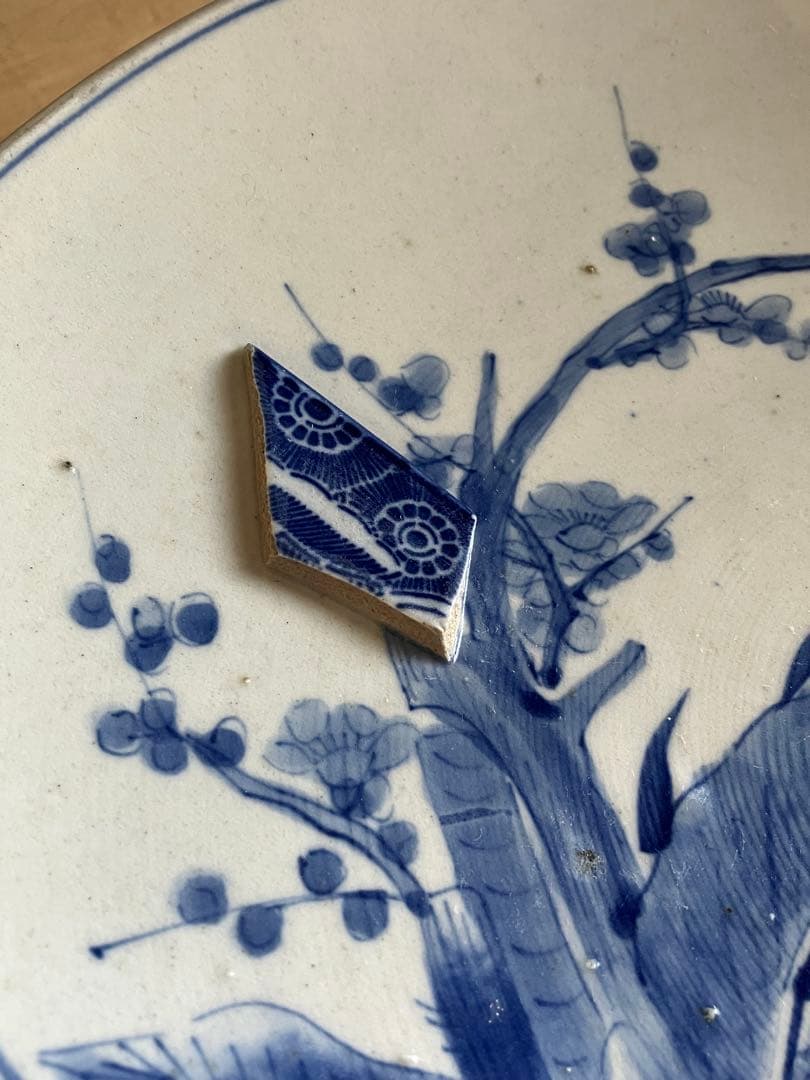 白地手描大皿 植物柄