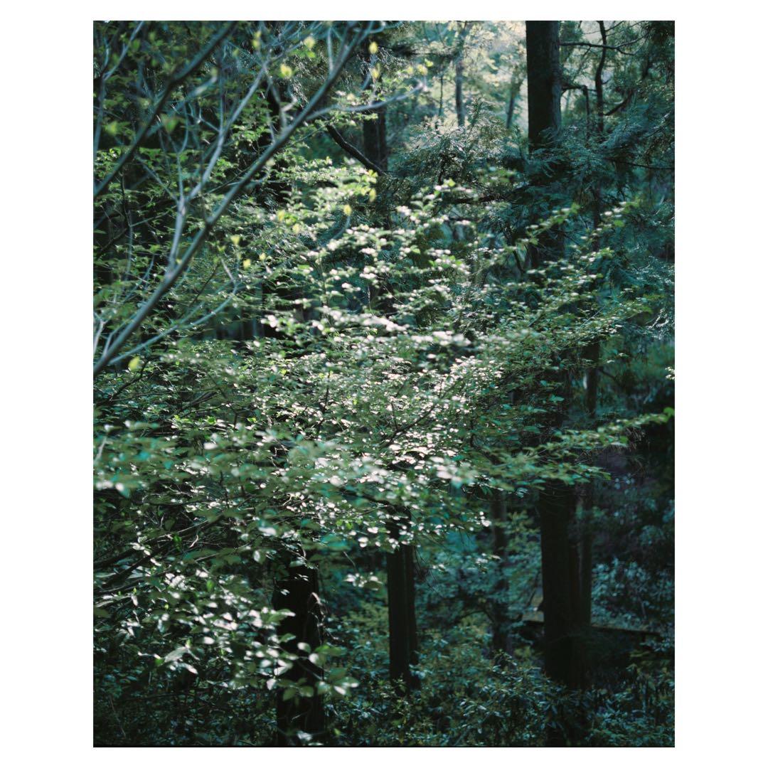 【作例有】Plaubel Makina 67 1年前にOH オーバーホール済