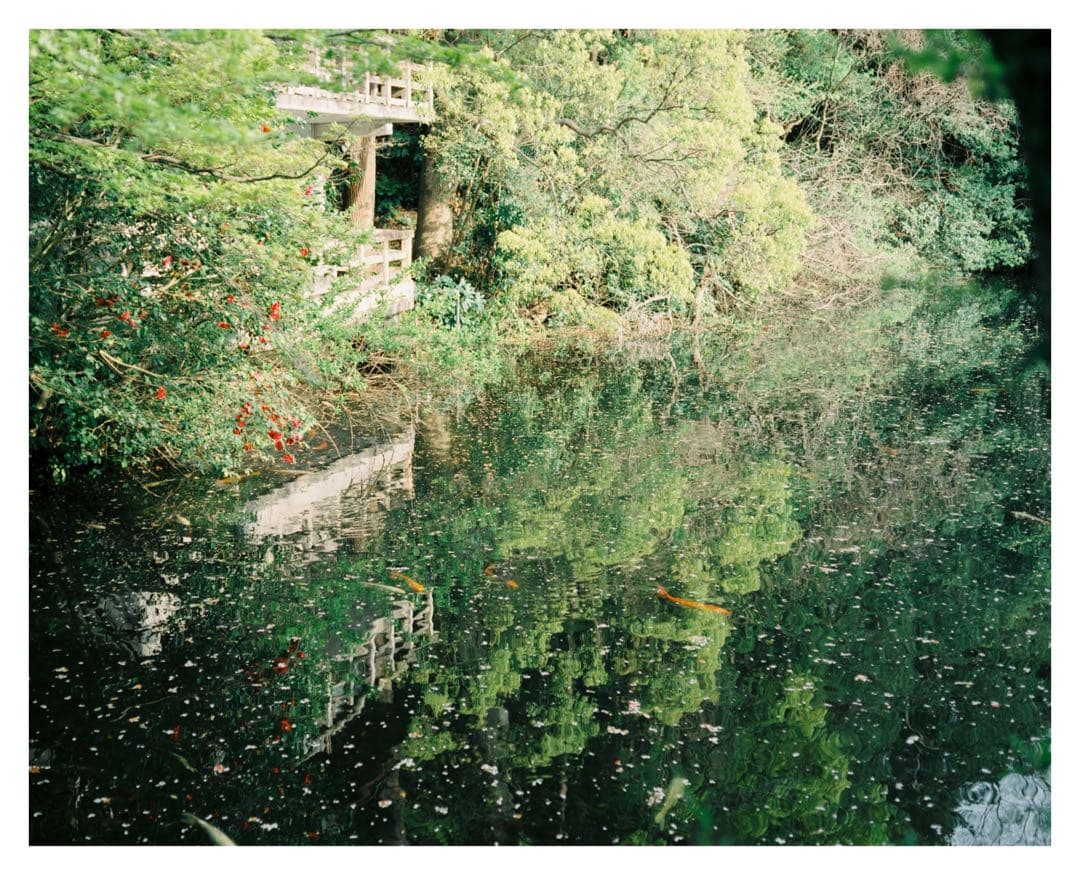 【作例有】Plaubel Makina 67 1年前にOH オーバーホール済