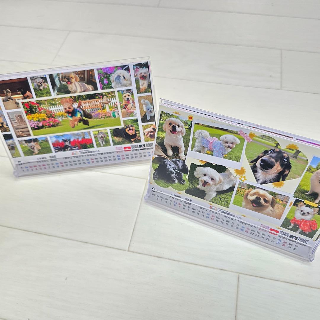 ①『犬』 卓上チャリティーカレンダー10枚セット