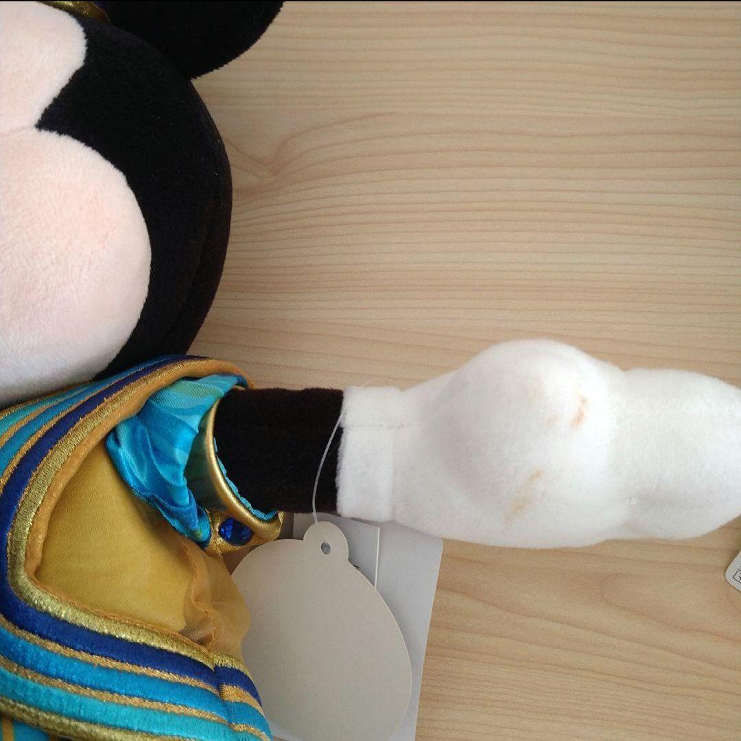 東京ディズニーリゾート　35周年　ミッキー　ミニー　ぬいぐるみ